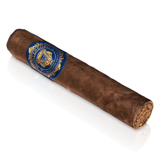 Gran Robusto